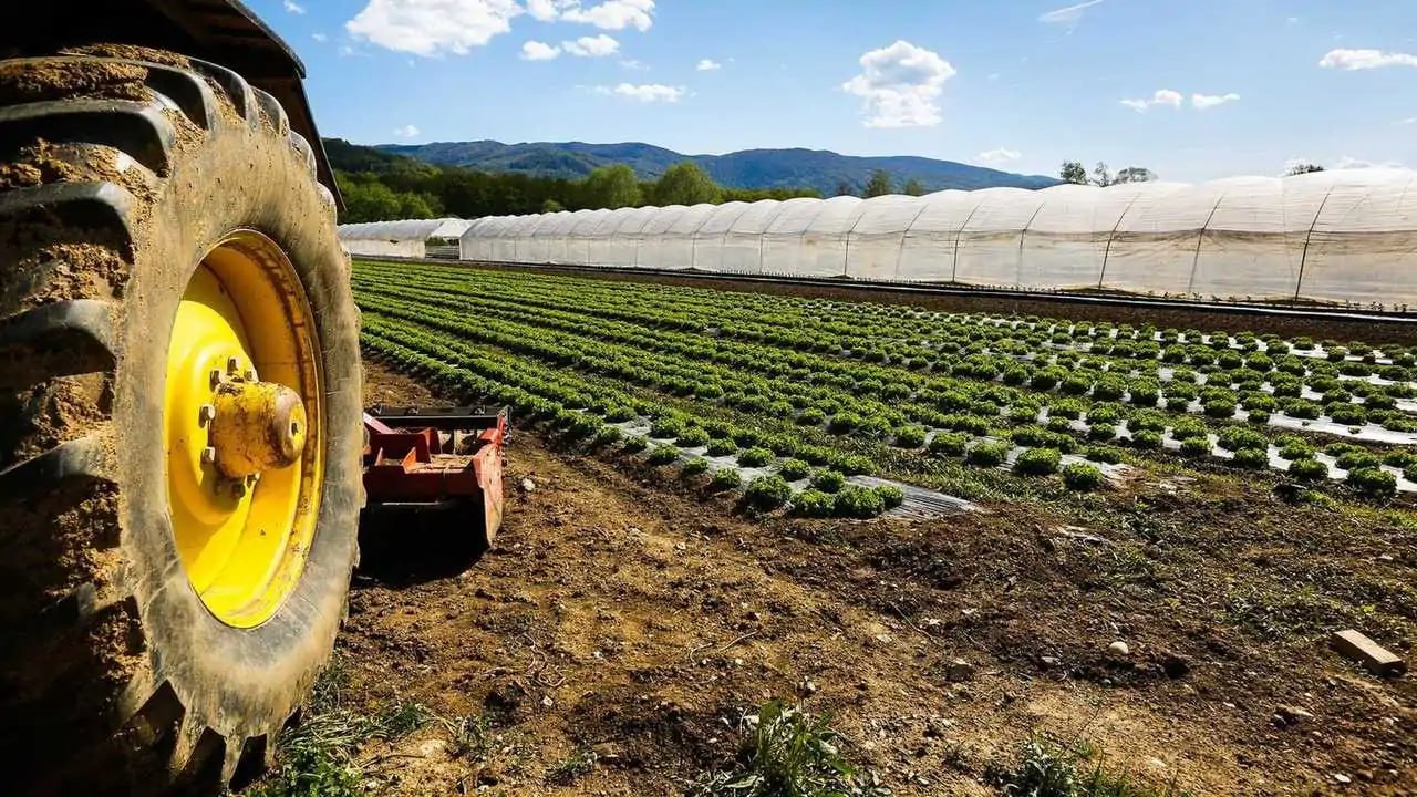 Pubblicato Bando Insediamento Giovani Agricoltori