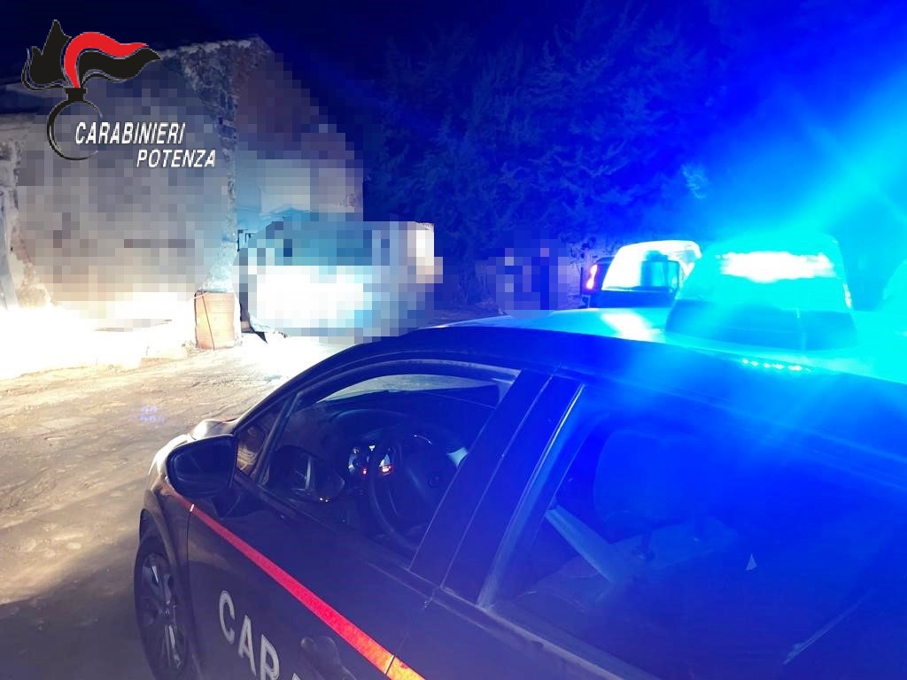 I Carabinieri Sventano Ingente Furto Di Bestiame